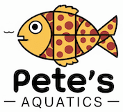 Pete Glynn