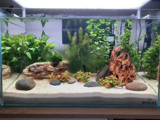 best aquarium sand aquarium care guide