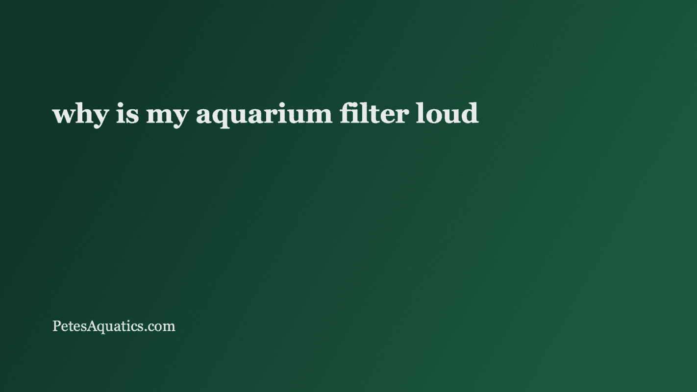 Aquarium filter troubleshooting media