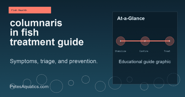 columnaris in fish treatment aquarium care guide